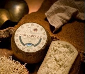 Pecorino cheese